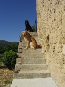 Carl-und-Ida-Treppe