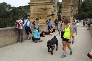 pont-du-gard5