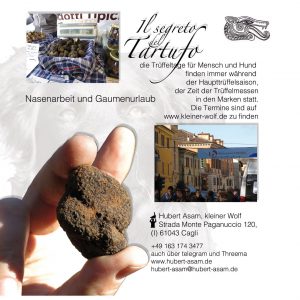 tartufo hintenweb