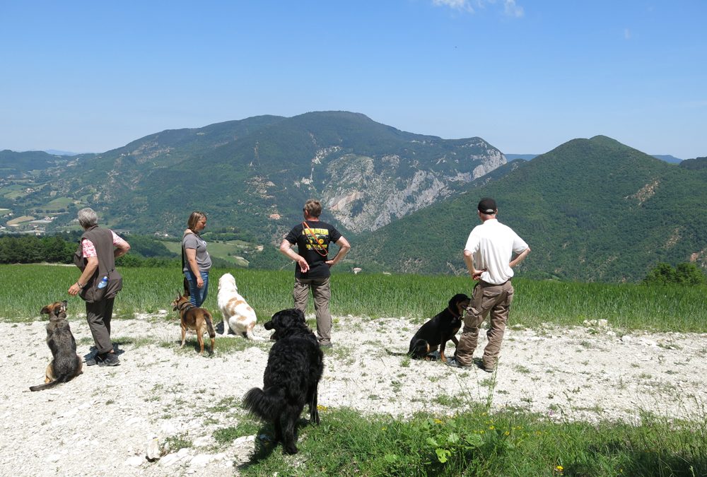 Seminarwoche Hund in Italien