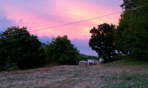 colondello cielo