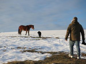 439011455_2673007176367515746