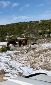 445316397_2110812728951297374