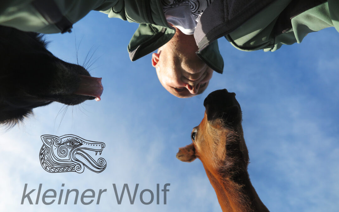 Seminarwoche Hund in Kassel