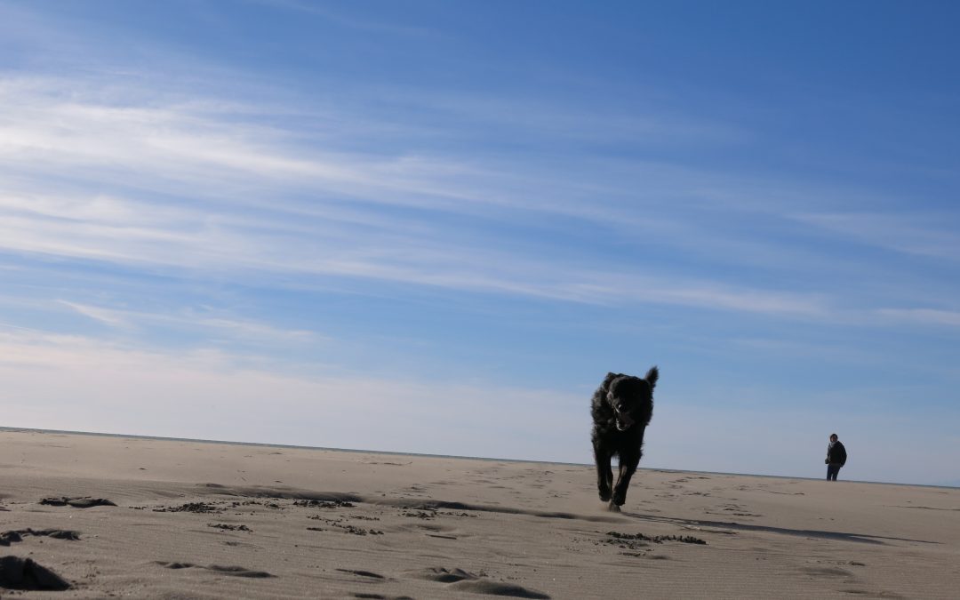 Ausbildung Basis 2, Modul 22022/05/02 - 2022/05/03