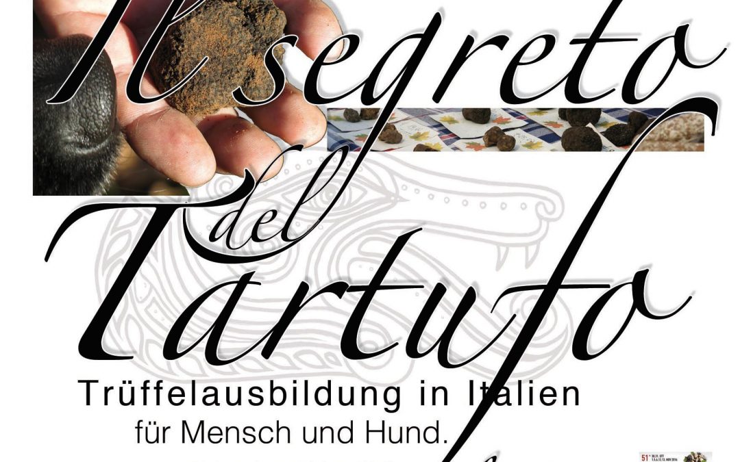Trüffel-Seminar in Italien2022/10/31 - 2022/11/05