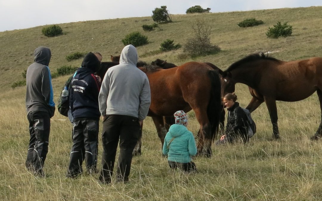 Schulprojekte2019/07/09 08:00 - 2019/07/10 13:20