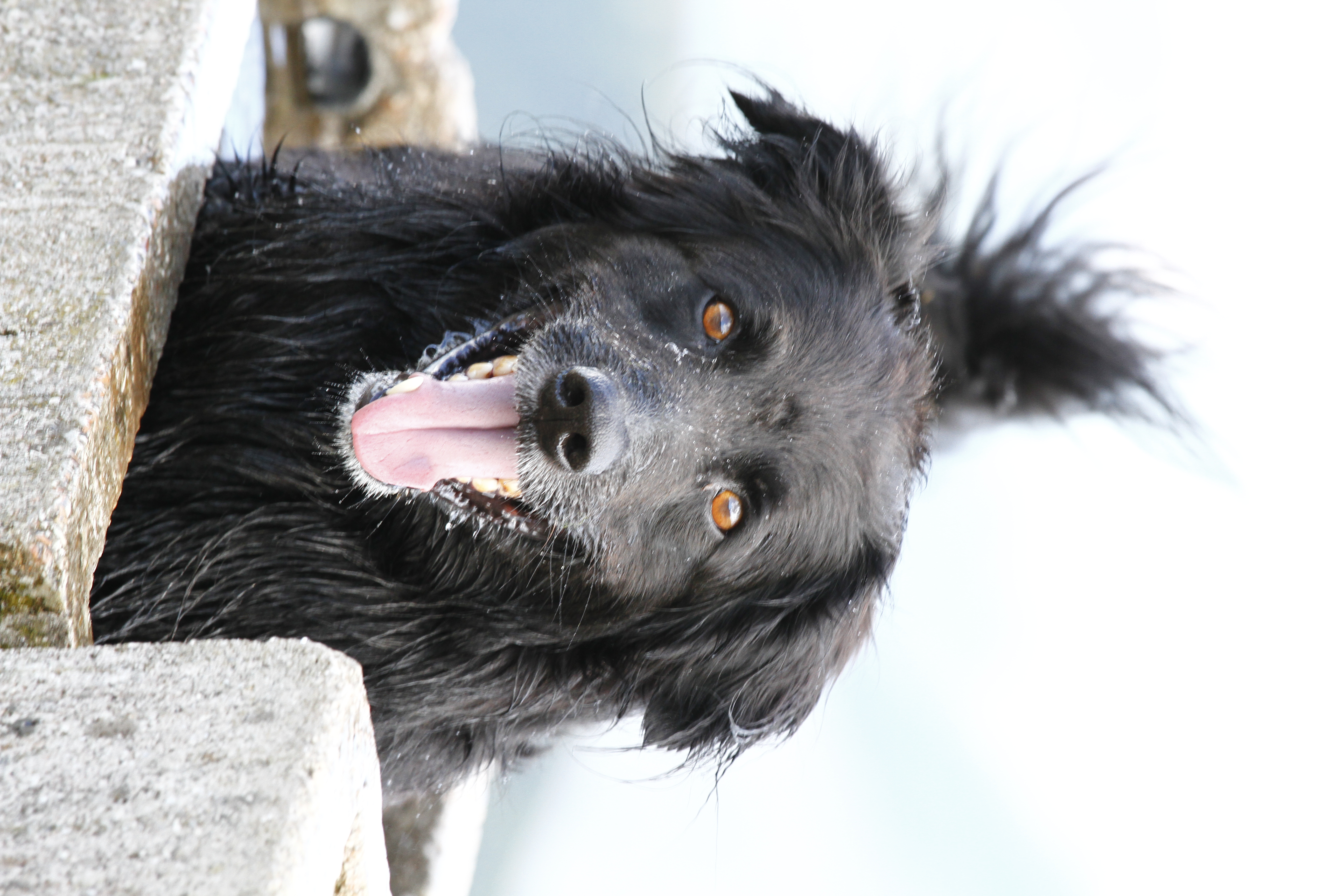 Fallbesprechung (virtuell)2022/02/28 18:00 - 2022/02/28 19:00