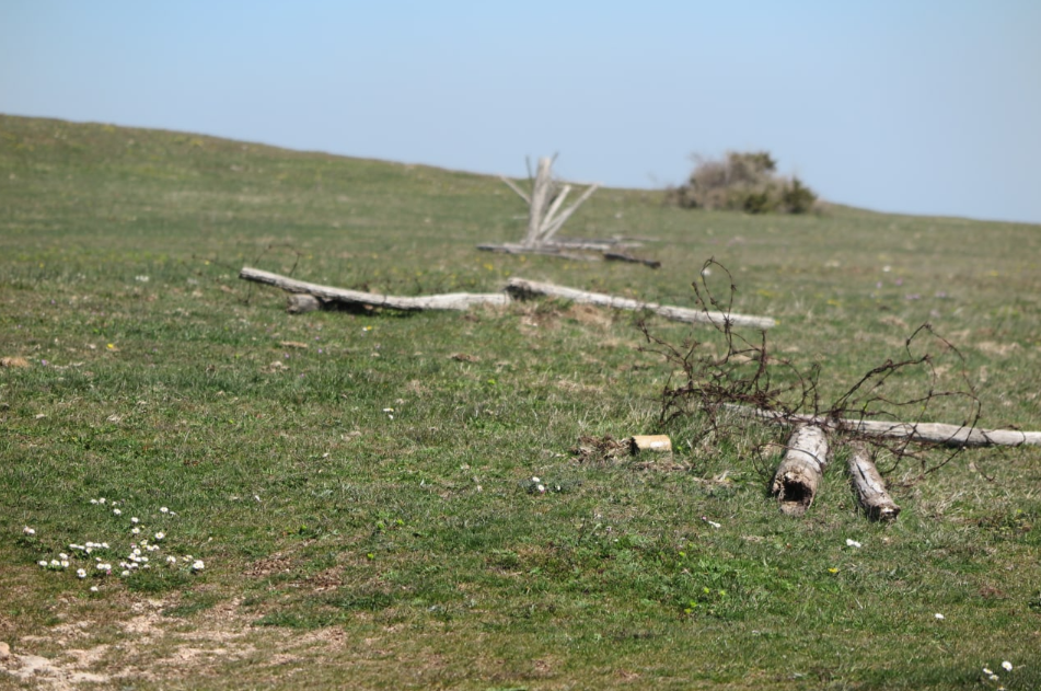 Arbeiten am Monte Paganuccio2022/06/12 - 2022/06/15