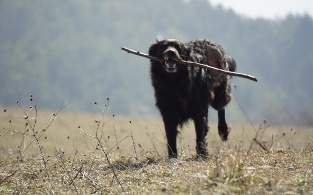 Allgäu-Wochenende2022/04/30 - 2022/05/01
