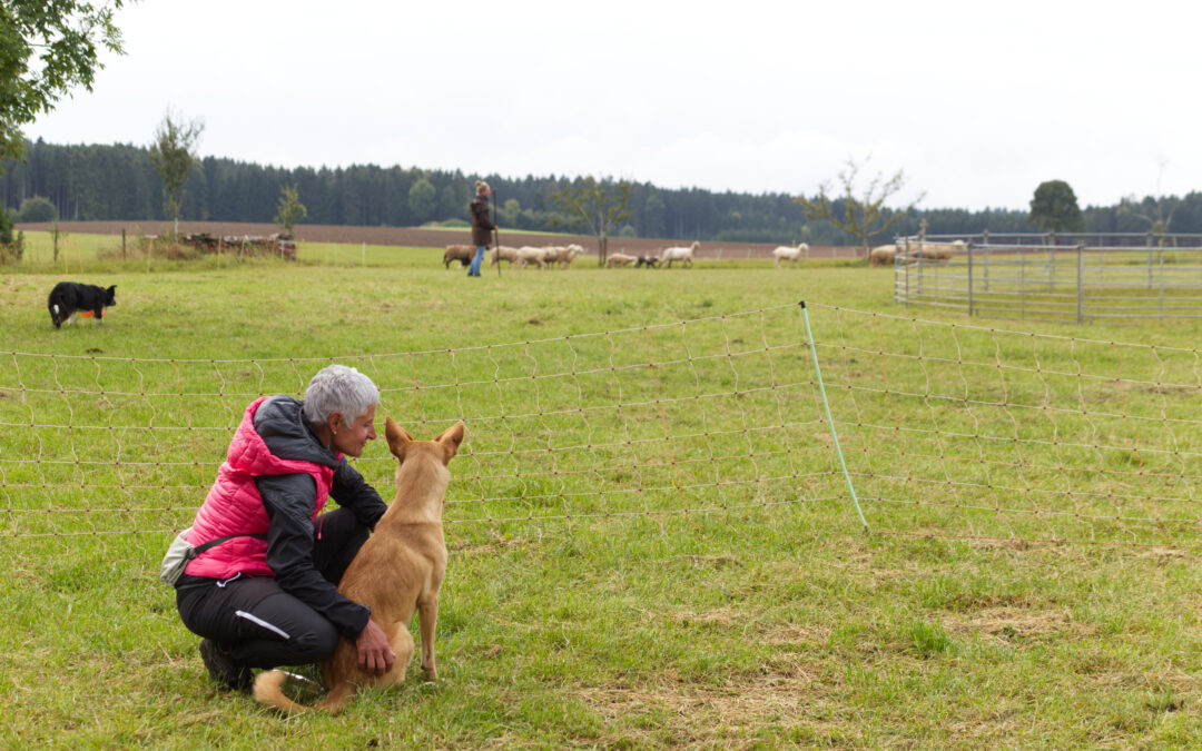 Hütewoche in Italien2022/04/18 - 2022/04/23