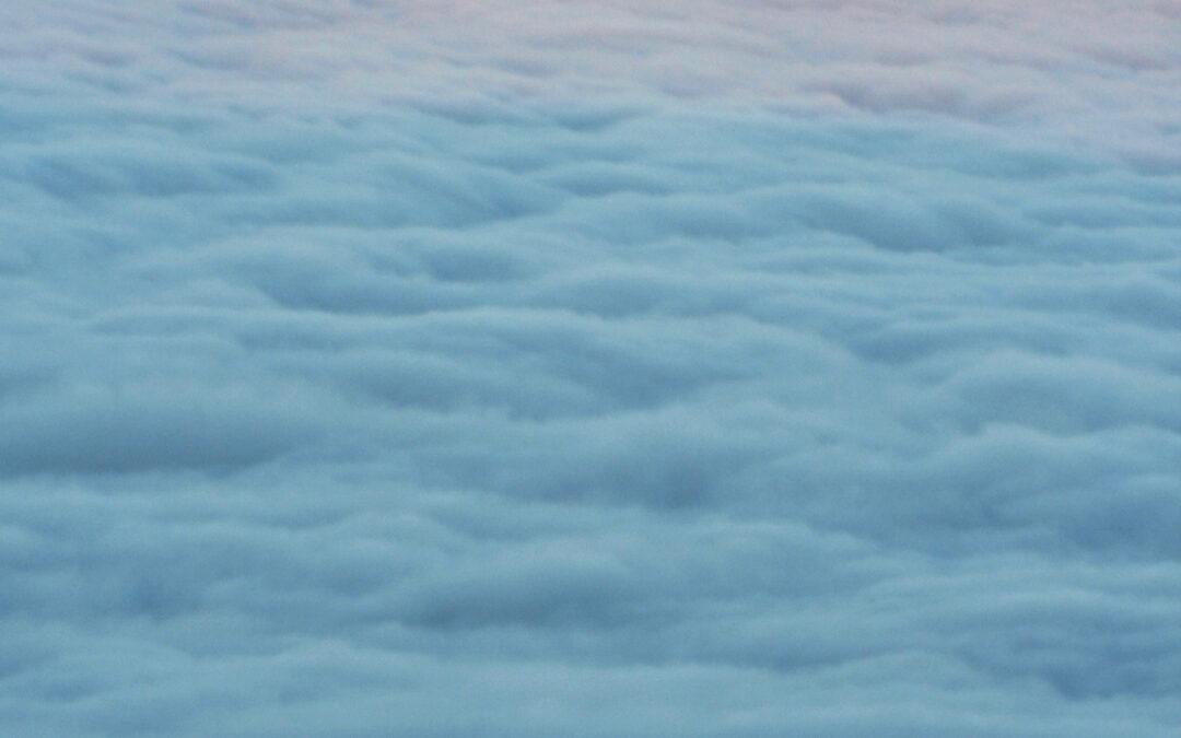 Seminar Pferd & Hund, Allgäu2022/10/01 - 2022/10/02