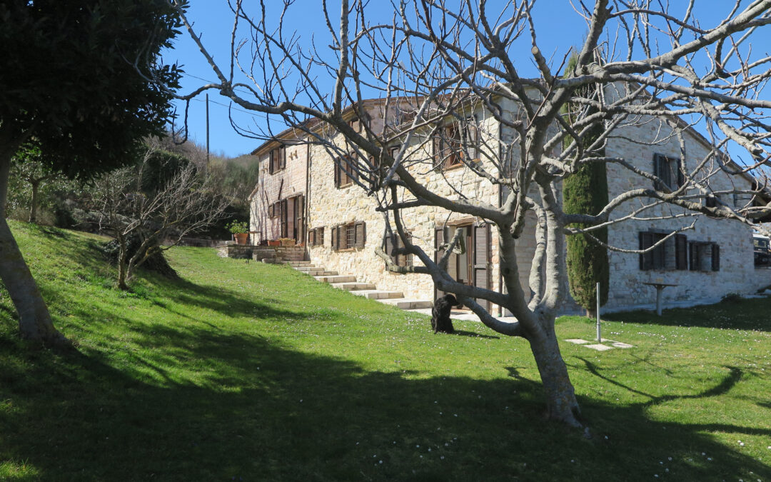 Seminarwoche Hund in Italien2022/04/11 - 2022/04/16